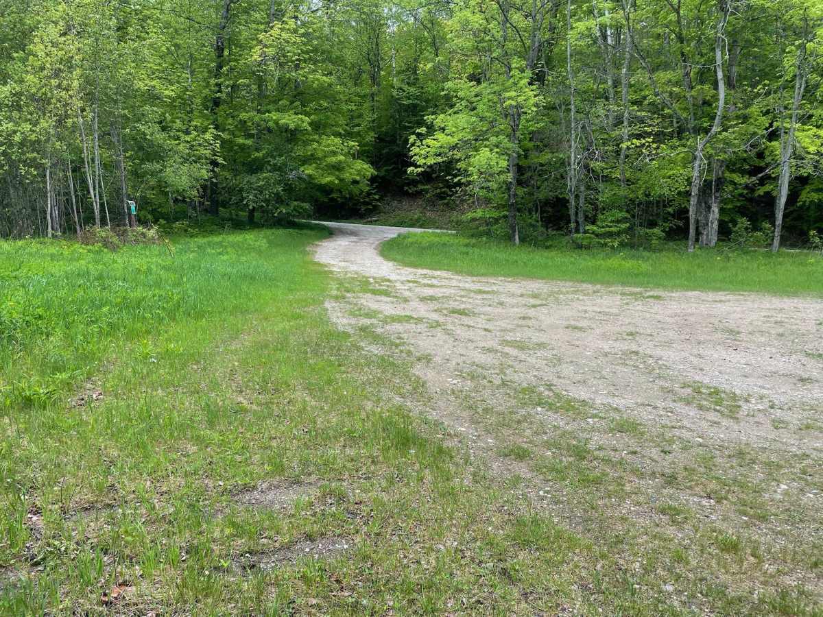 Beaver Meadow Trail - FS 76 photo 2