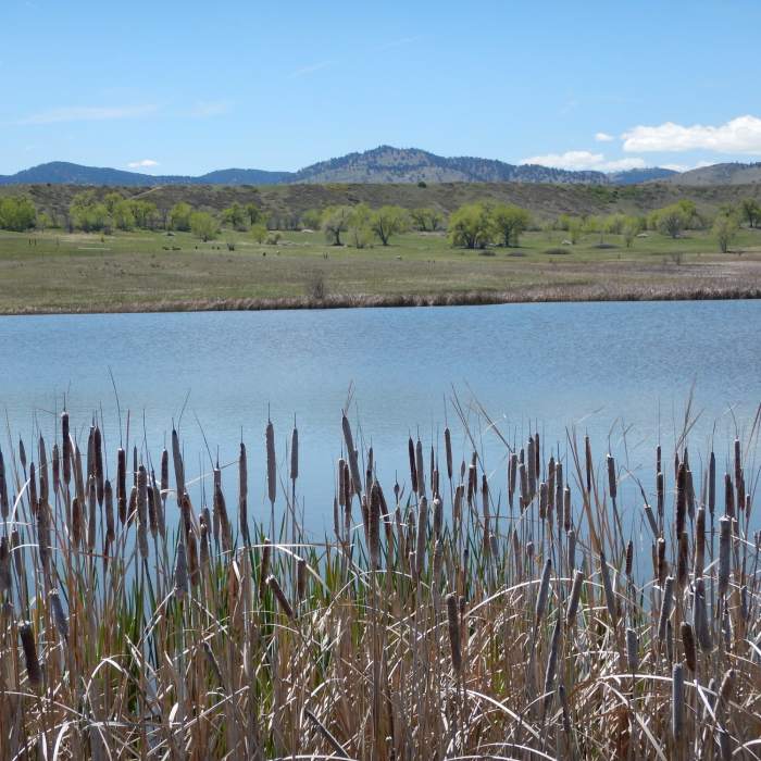 Boulder Valley Ranch Loop Hiking Trail | Map, Difficulty, Trail Status ...