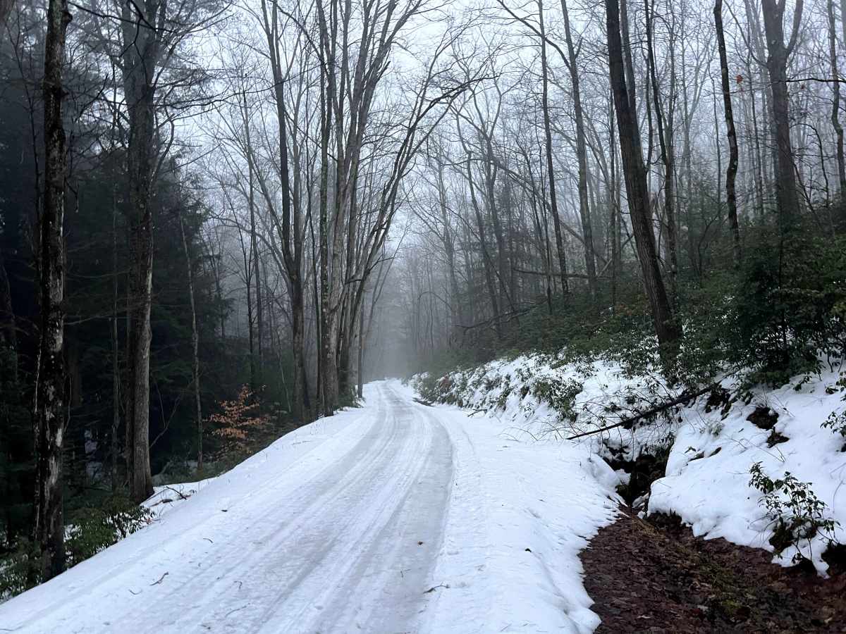 Left Asaph Road photo 4