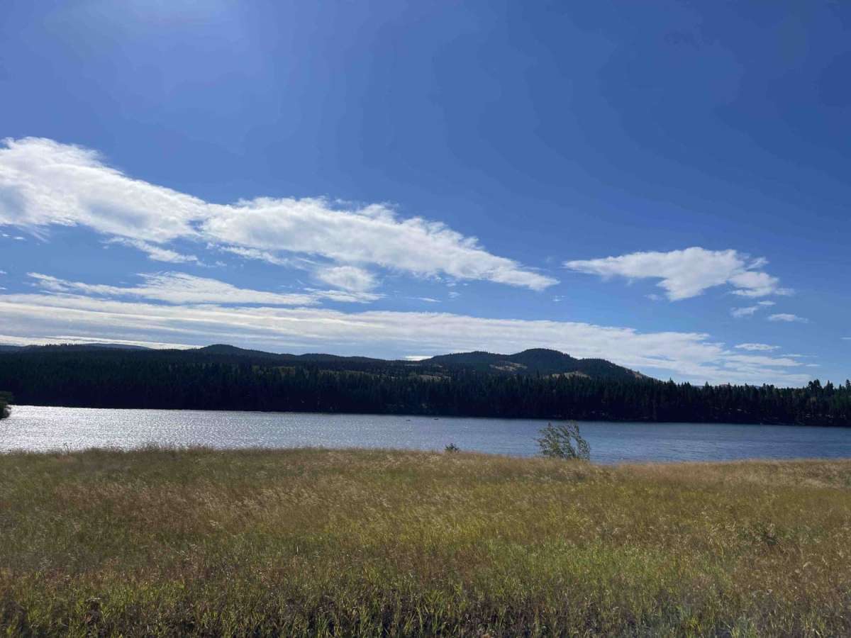 Douglas Lake Road photo 5