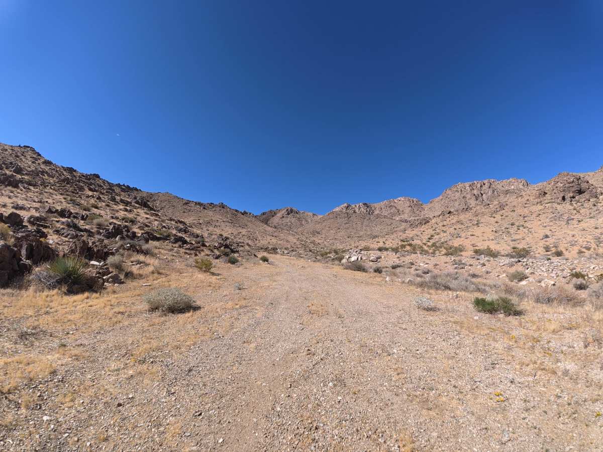 BLM SV2671 photo 2