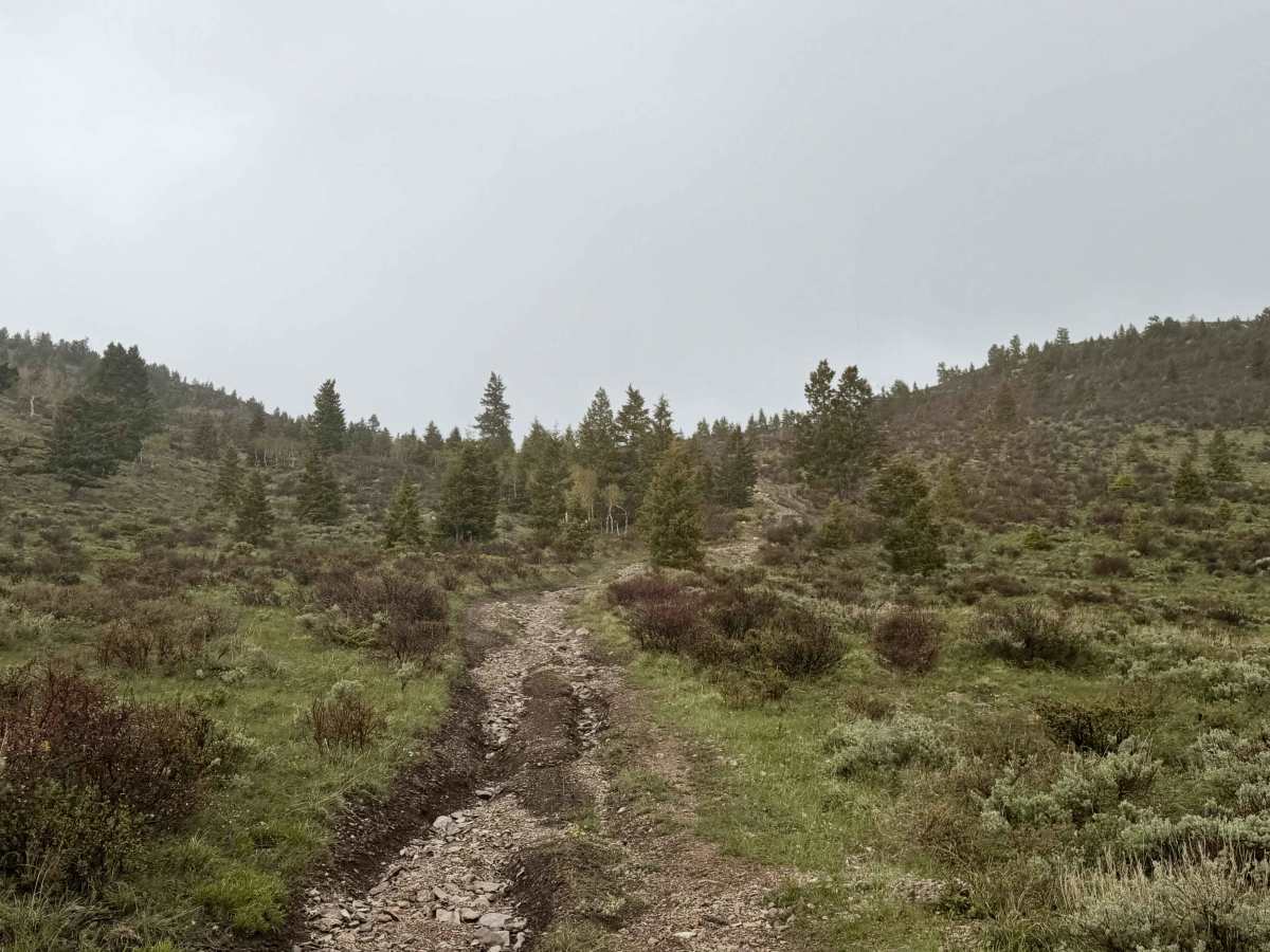 Limestone - FS 62 trail photo