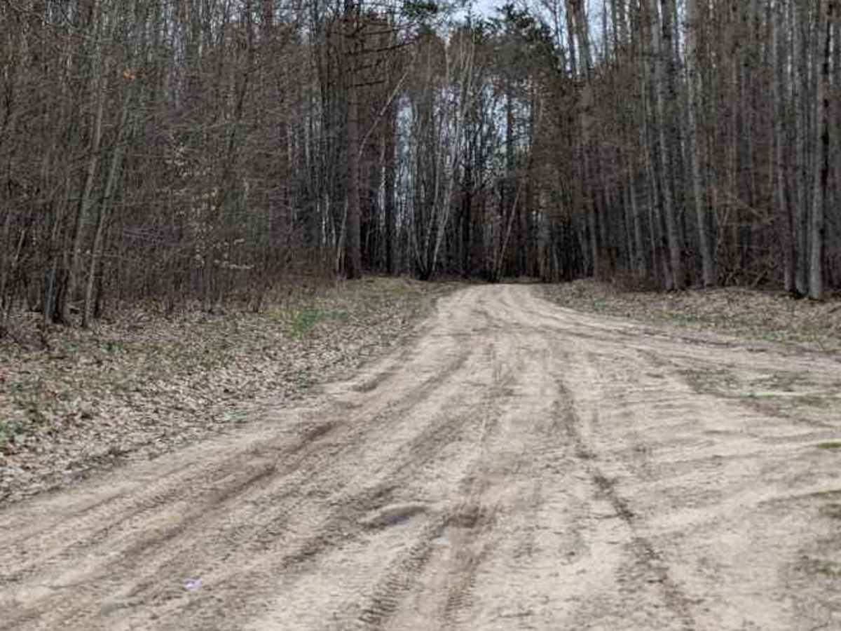 Riske Road trail photo
