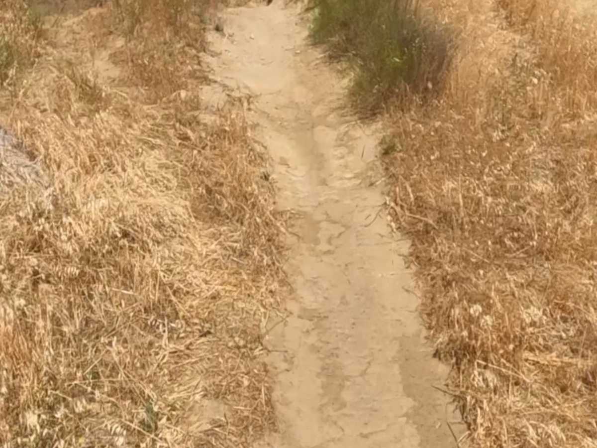 Badger trail photo