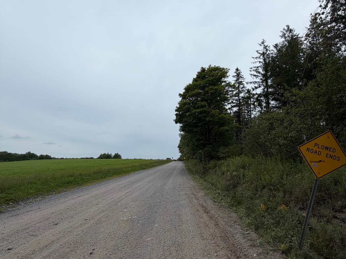 Tabolt Road trail photo