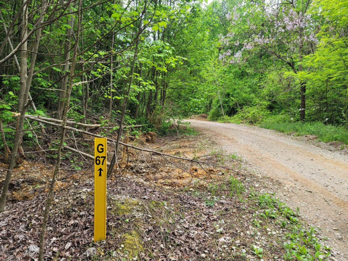 G67 - Brown Flats trail photo