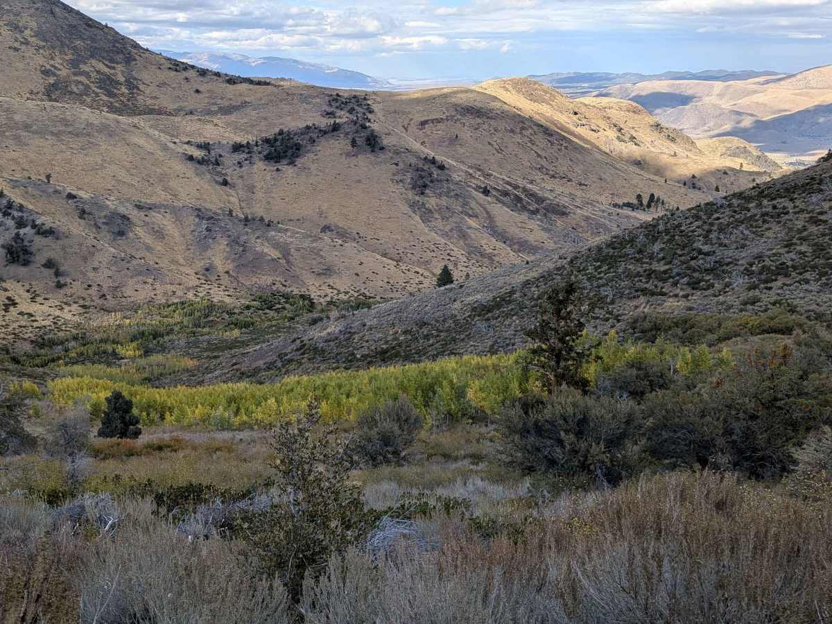 Lost Cannon Creek - FS 32212 photo 5