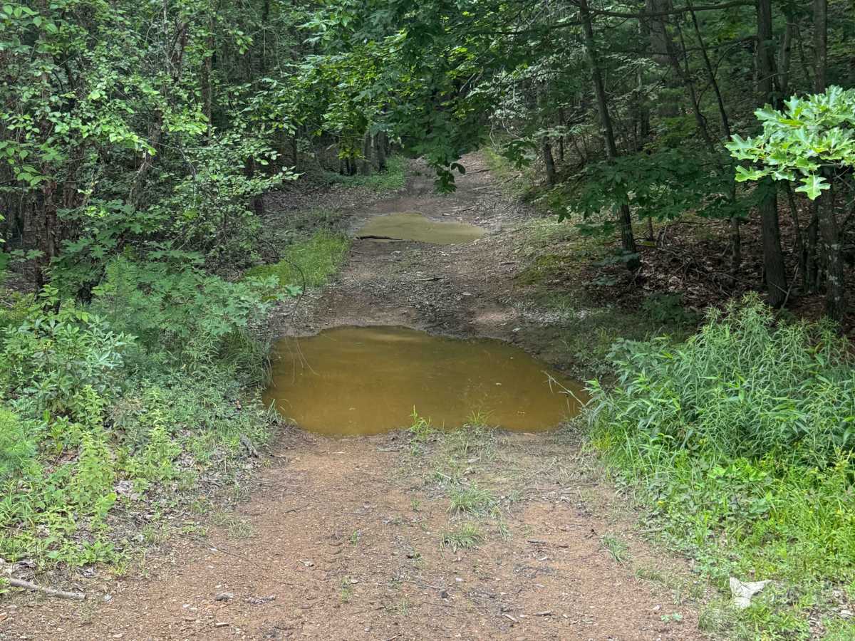 Trail 42 photo 2
