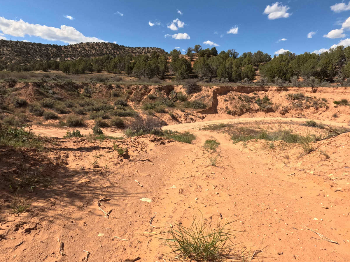 BLM 42 trail photo