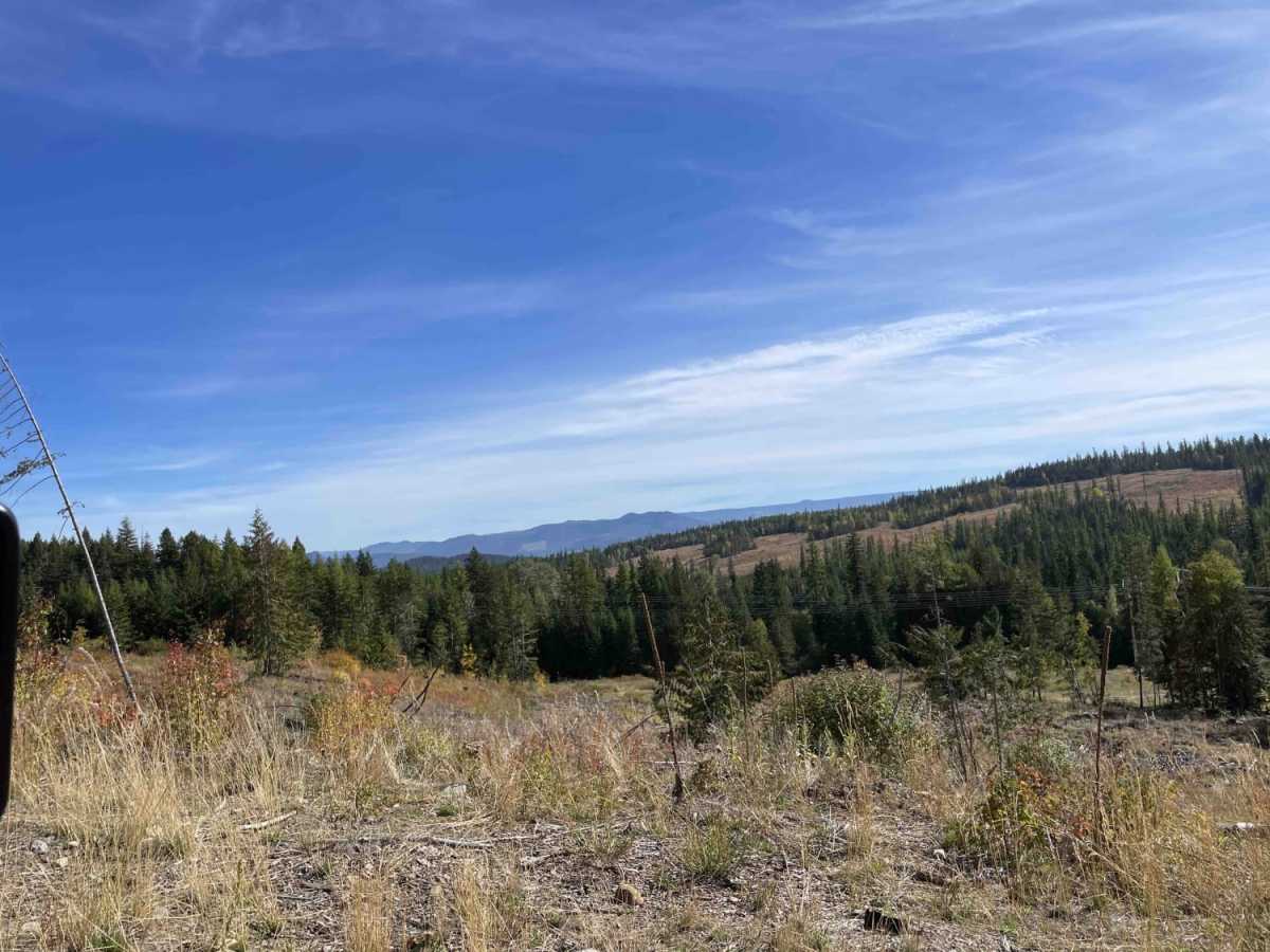 Coopers Hang Gliding photo 4