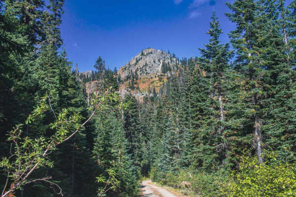 Knox Creek - 4308