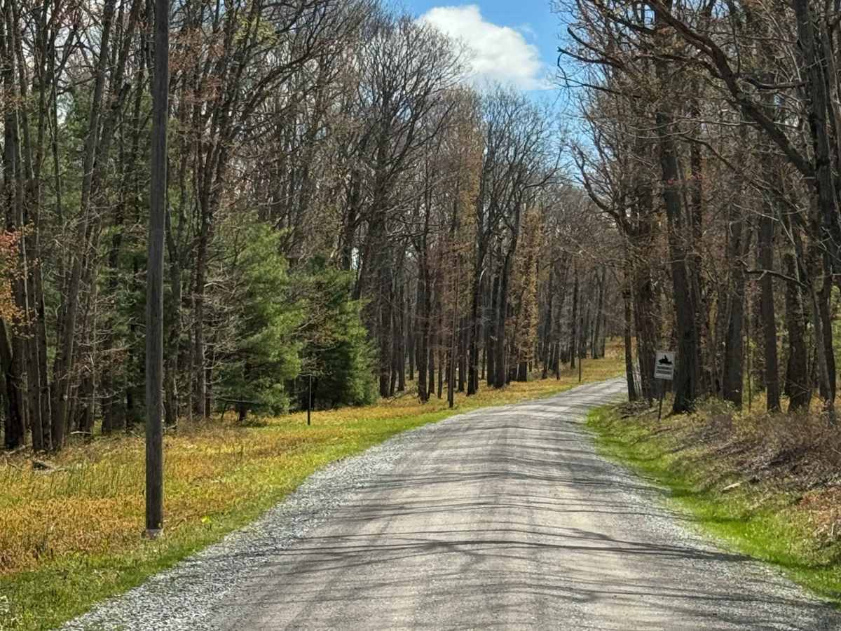 Kennedy Preserve Road photo 6