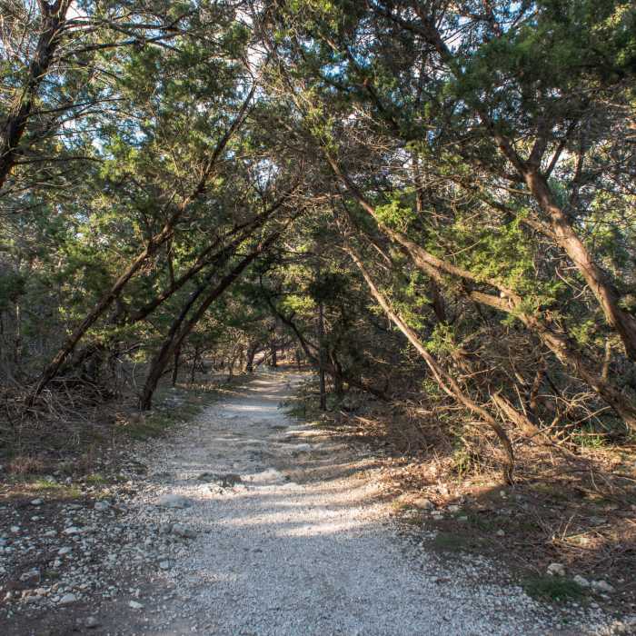 Main Loop Near Emilie and Albert Friedrich Wilderness Park Outer Loop