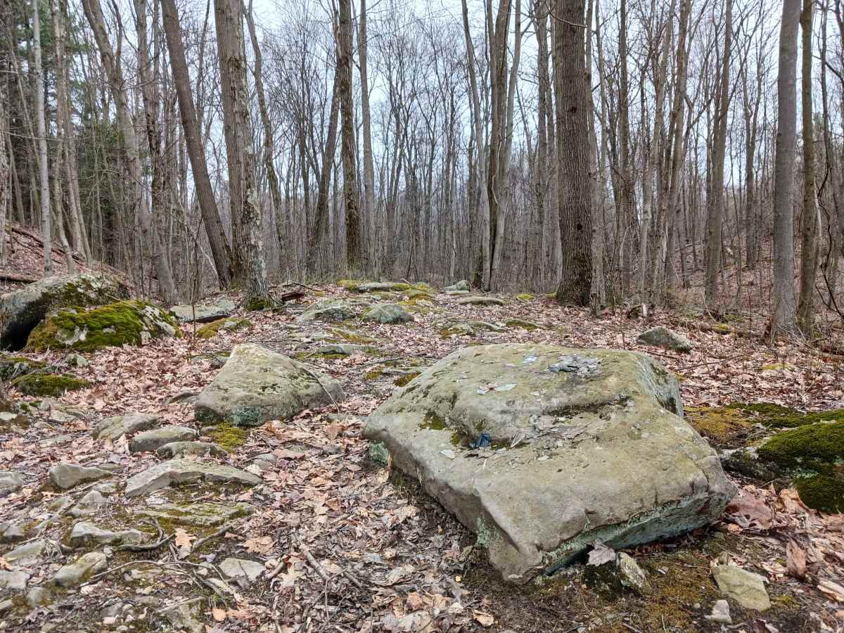OHV 60 - Rock Run Recreation Area photo 2