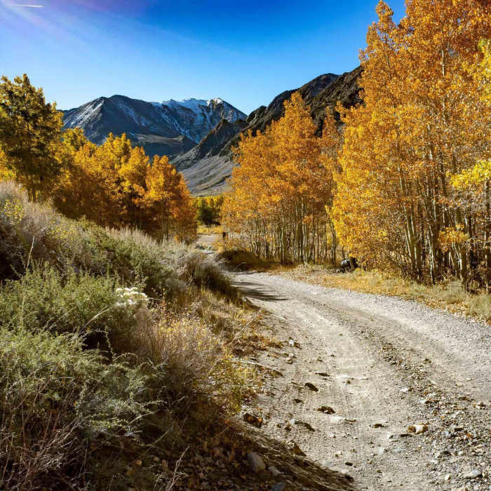 A flatter section of Laurel Lakes Road as it passes by an aspen grove with Bloody Mountain up ahead. Near Laurel Lakes Road #4S86