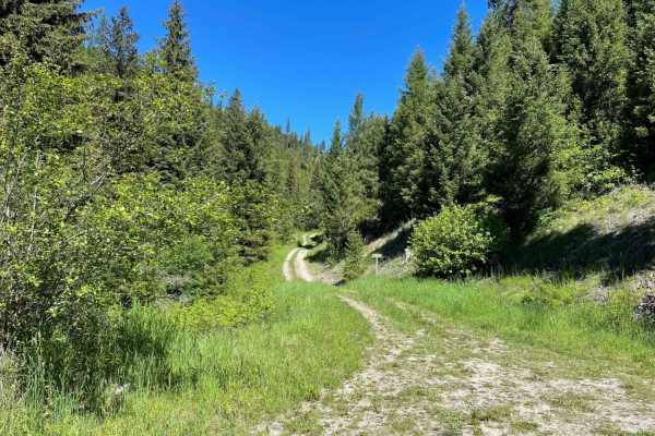 North Fork Howard Trailhead