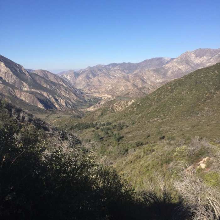 Near Hoyt Mountain Road: West Ridge Loop
