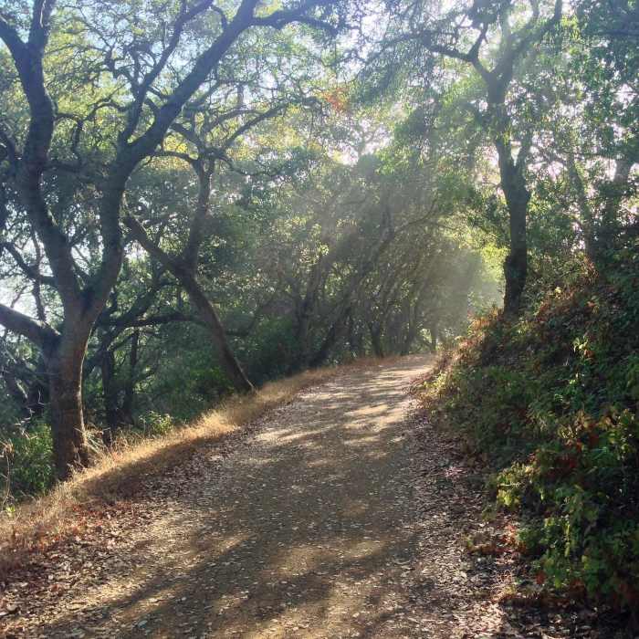 Near Upper High Meadow Trail
