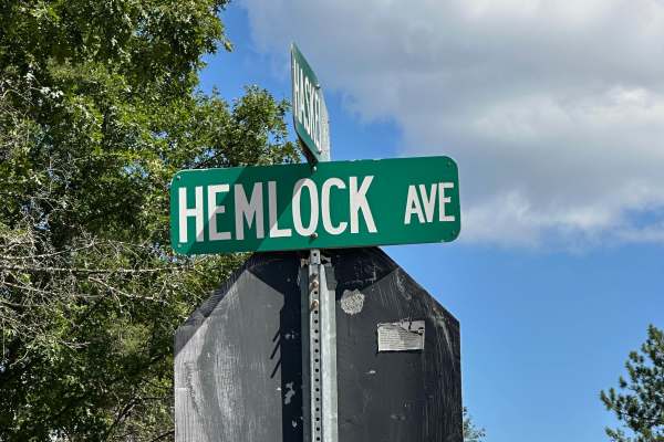Hemlock Avenue