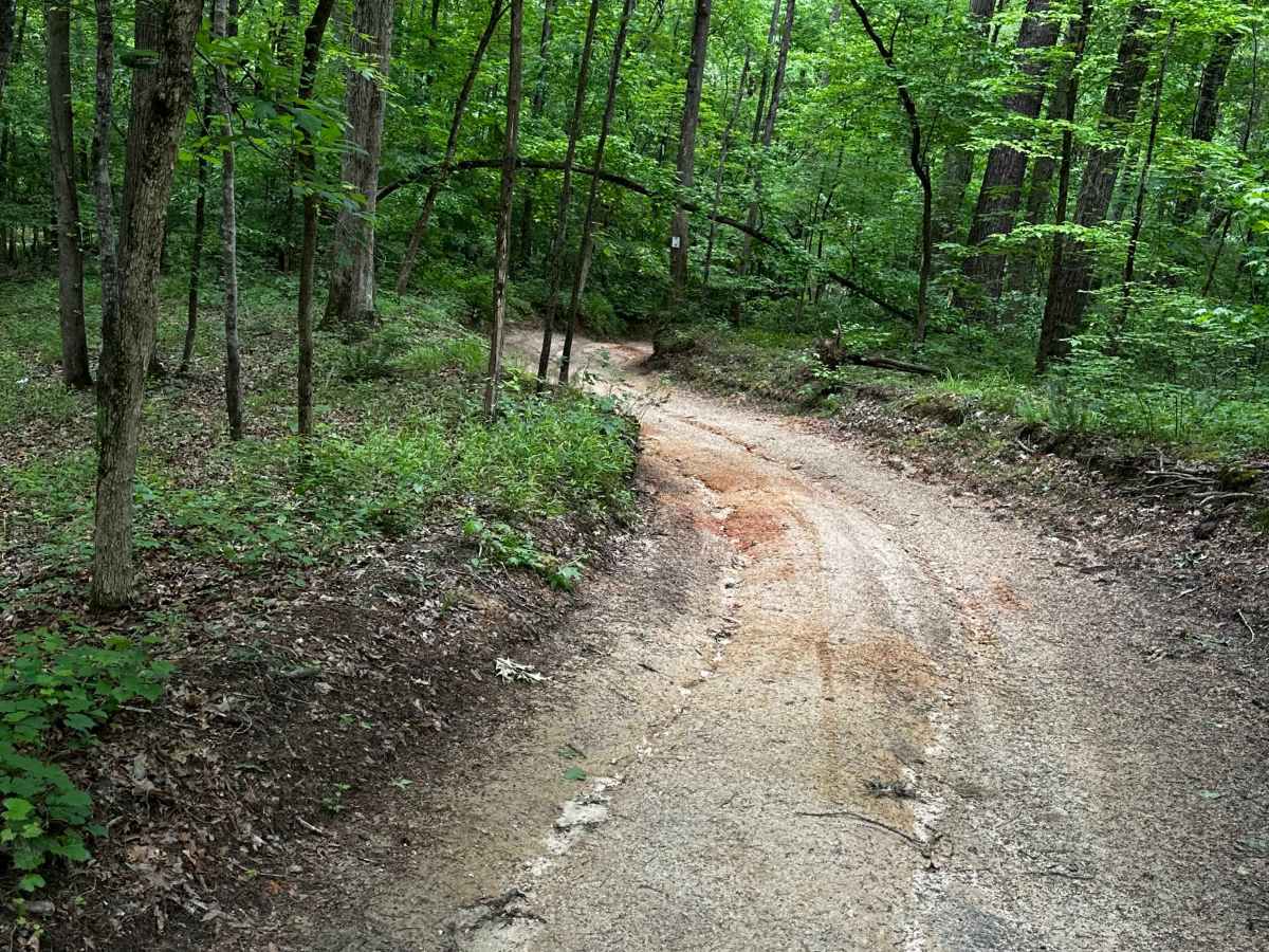 Trail 17 photo 3
