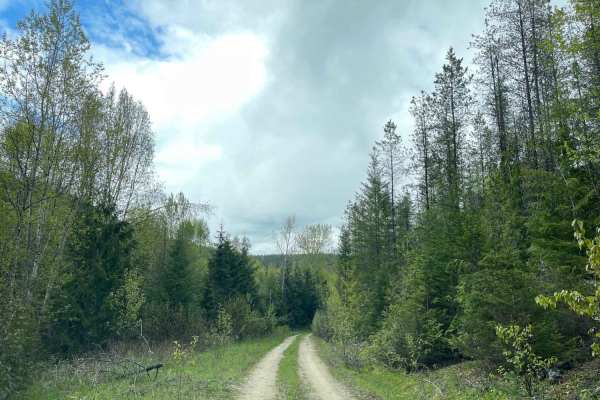 Sunshyne Road