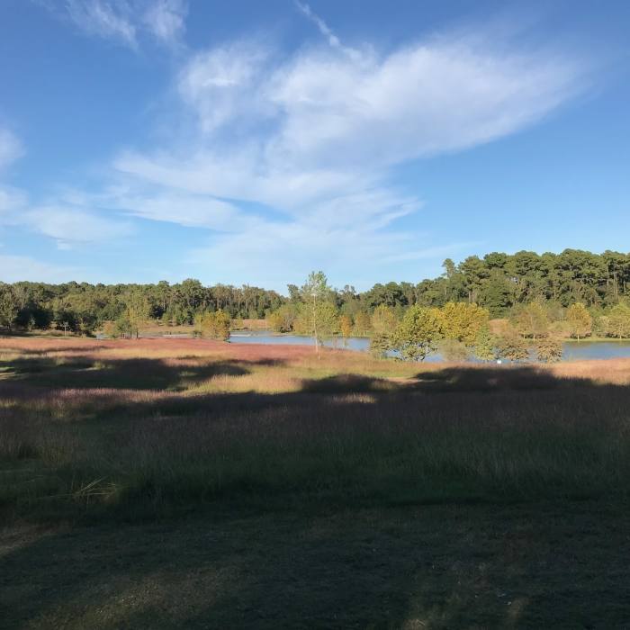 Near Keith-Wiess Park Loop