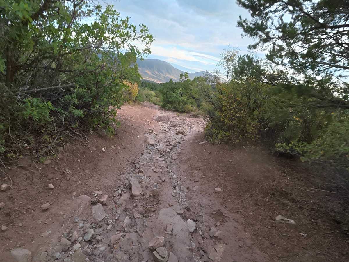 West Elk Ridge North photo 3