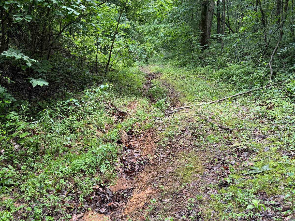 Lonny's Ground photo 6