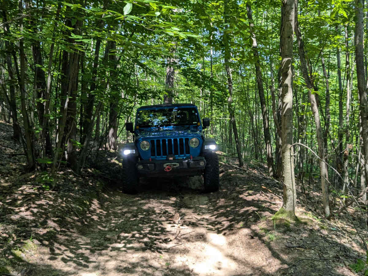 North Missaukee Route & MCCCT Trail/Africa Loop photo 5