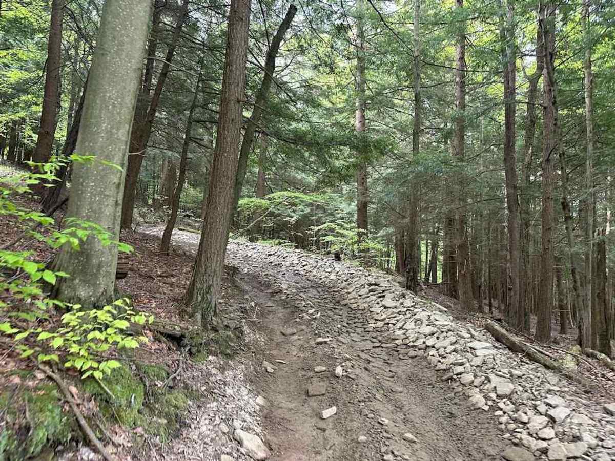 B Black and Blue trail photo