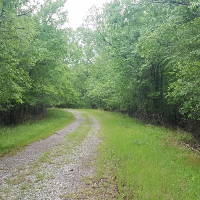 Near Jet Recreation Nature Trail