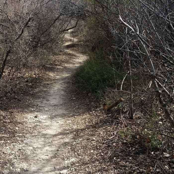 Enjoy pleasant trails like this throughout Arbor Hills Nature Preserve. Near Arbor Hills Nature Preserve