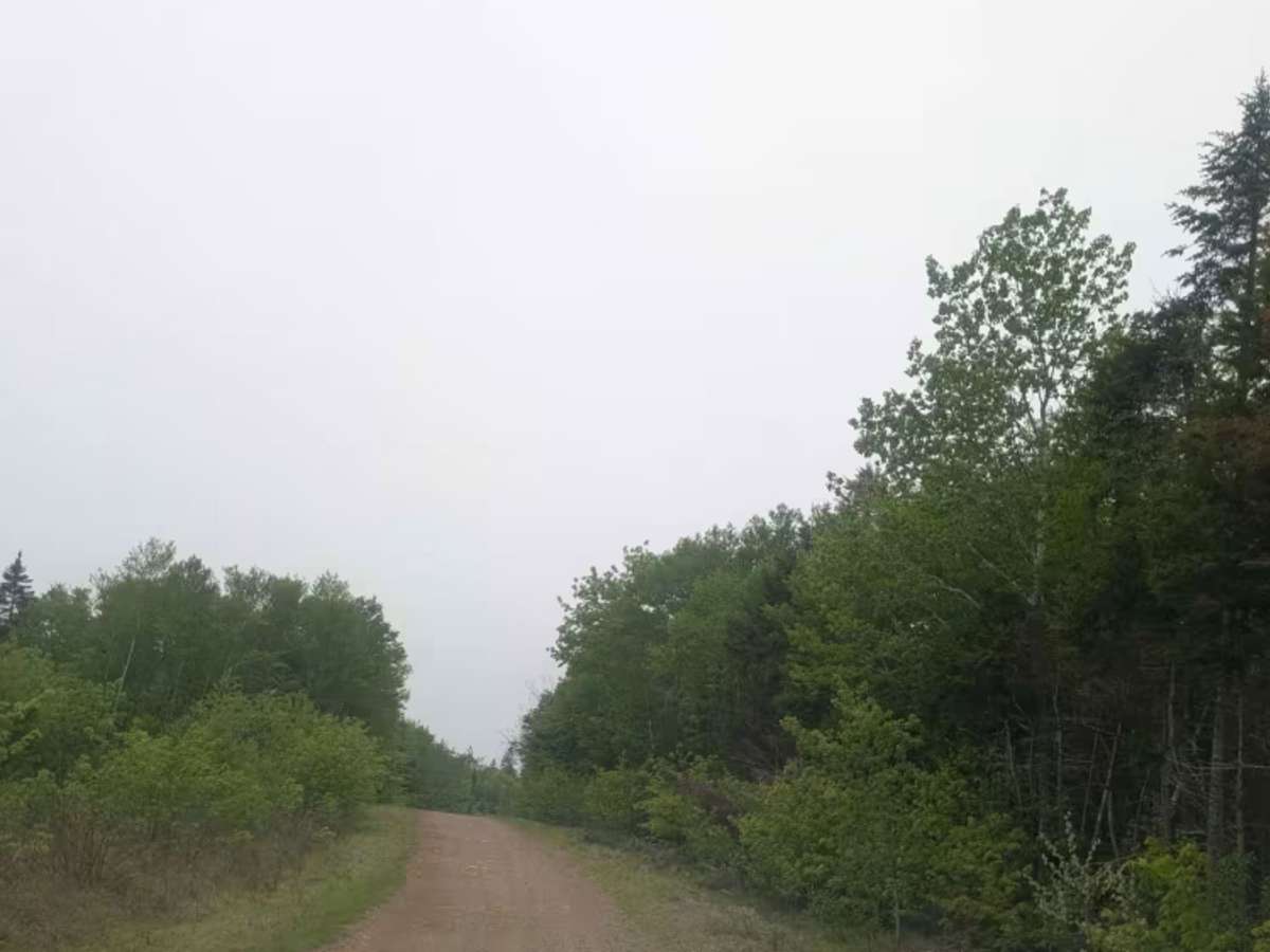 Mackenzie Settlement Road photo 3