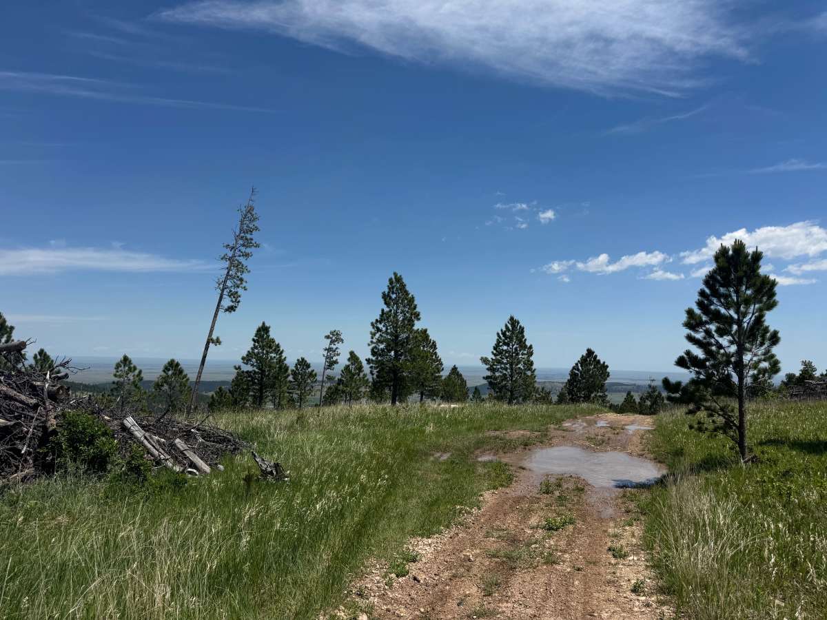 Forbes Gulch Br 1b - FSR 169.1B photo 5