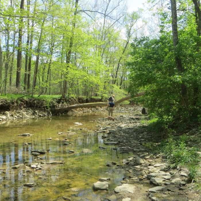 Stream crossing the trail. Near Perimeter Loop