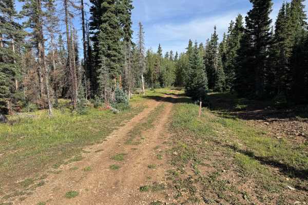 Little Hell Road