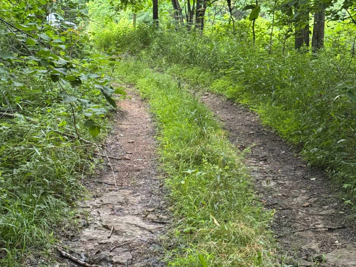 Trail 15 photo 5