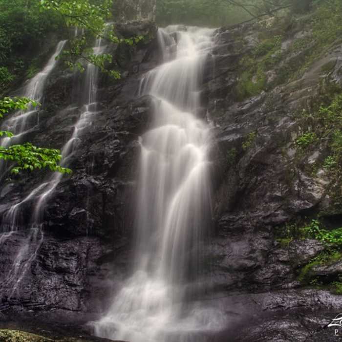 Near Double Falls Loop