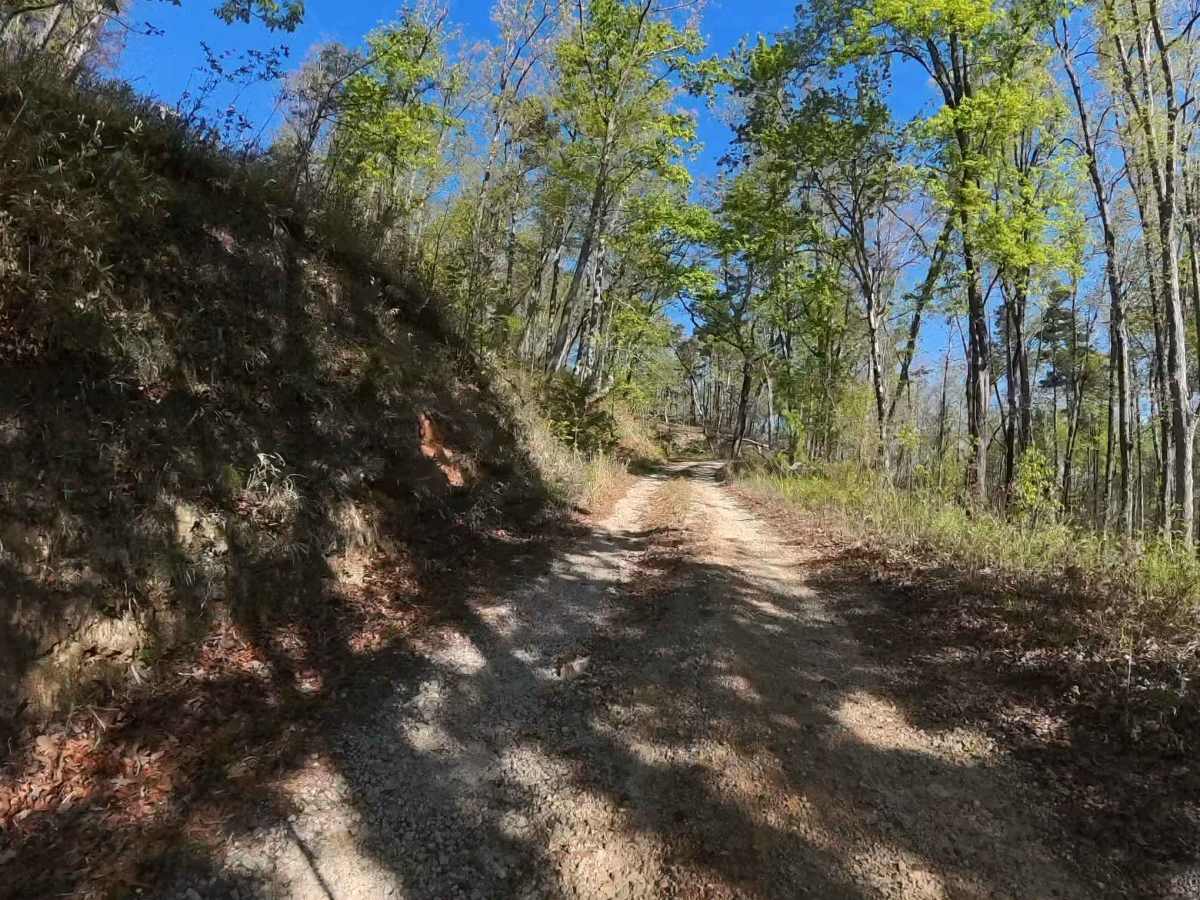 Forest Road 752 photo 4