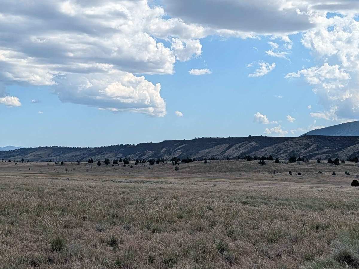 Sheep Camp Butte - FS 47N18 photo 2