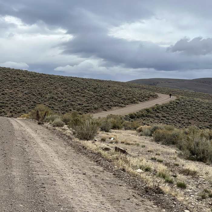 Near Disaster Peak Road Near Disaster Peak Road