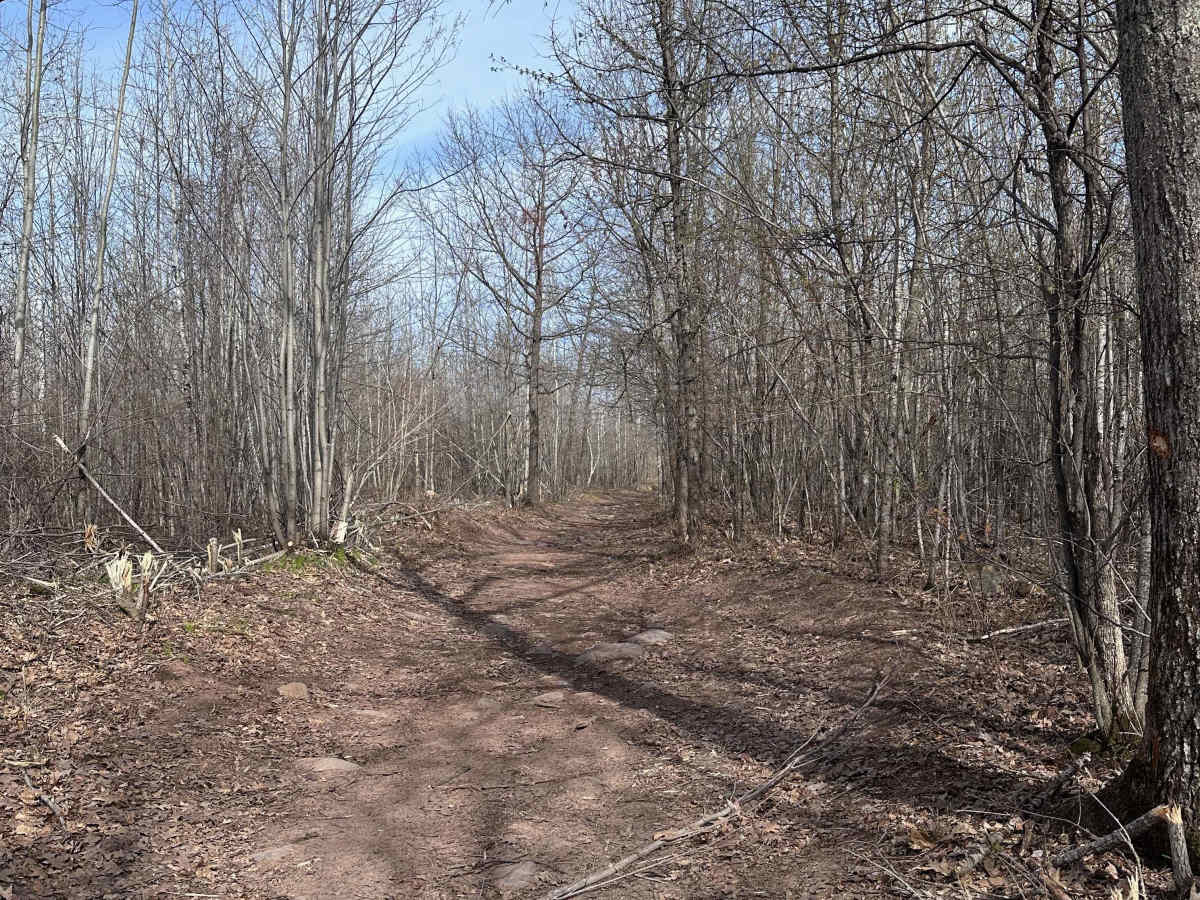 Boulder Hill Trail photo 6