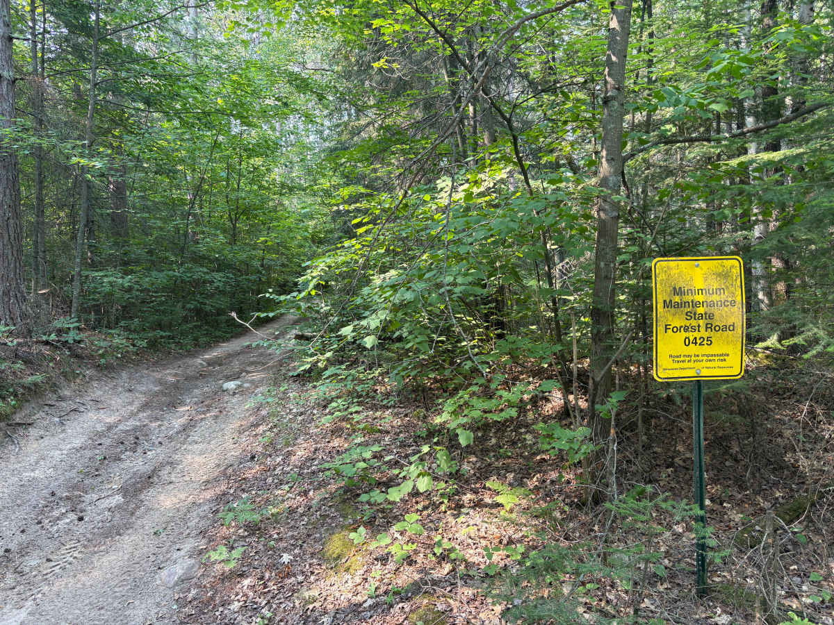 Forest Road 0425 photo 2