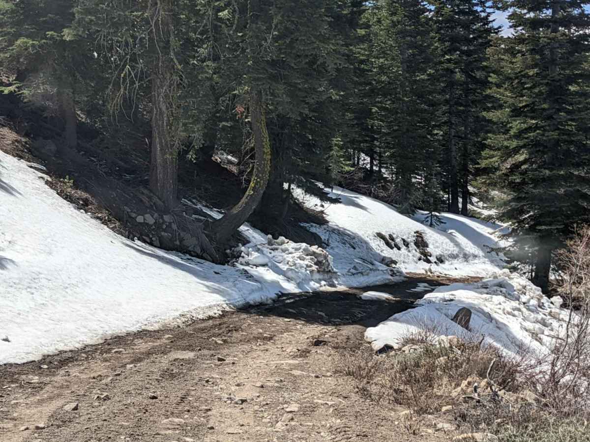 Sugarpine Spur A - NF22N55A photo 6