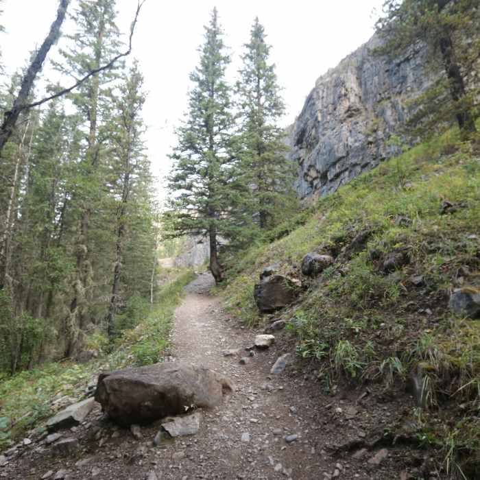 Near Prairie Creek Trail