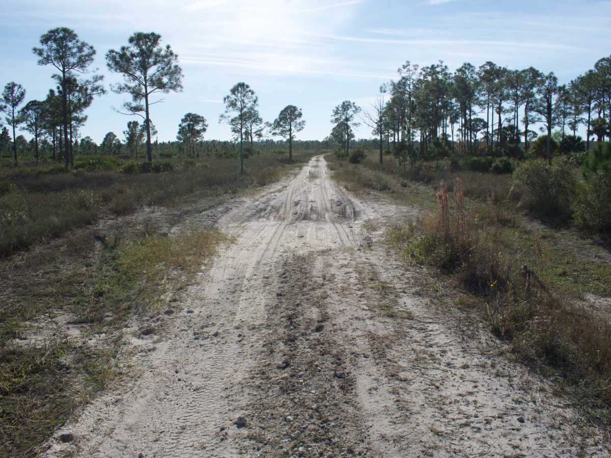 Road 8A photo 2