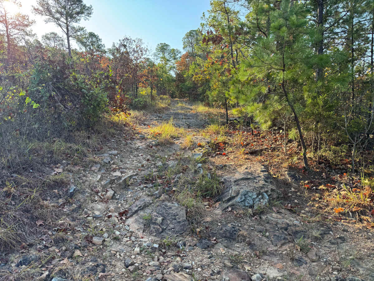 Corely trail photo