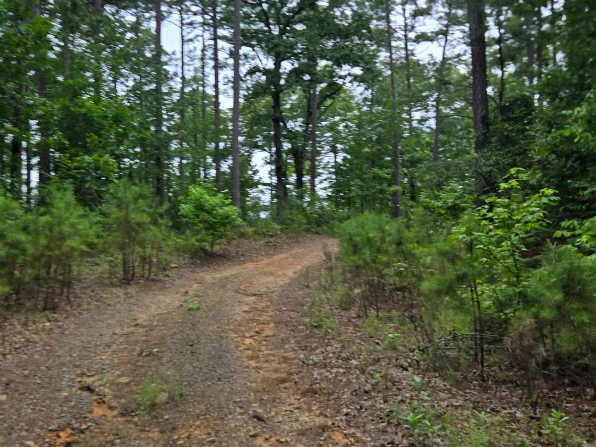 Low Gap Cemetery Road photo 3