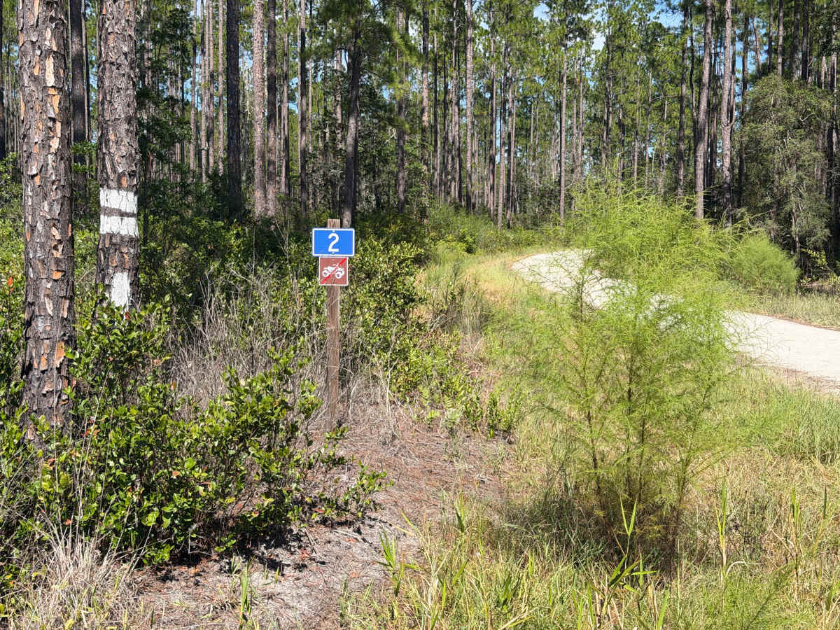 FR 2 trail photo