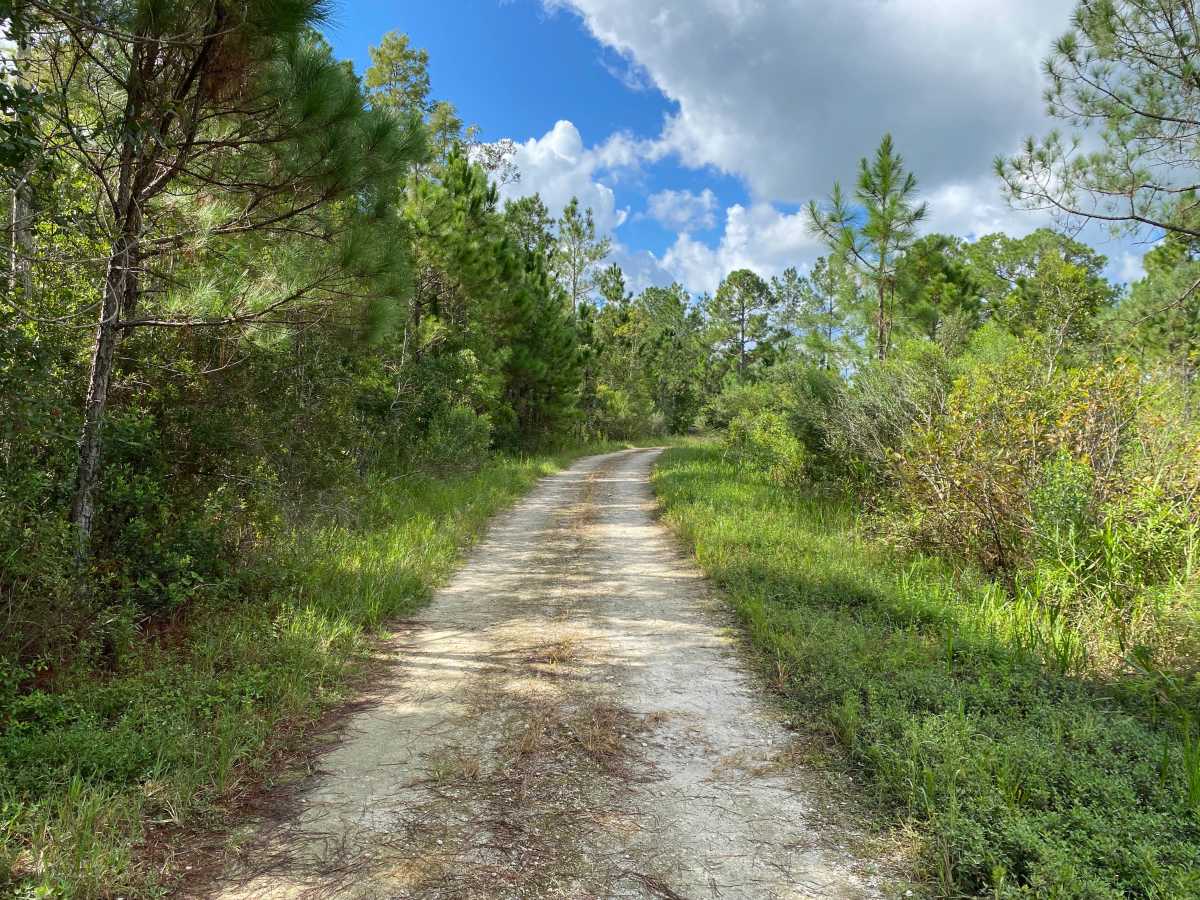 Lake Road trail photo